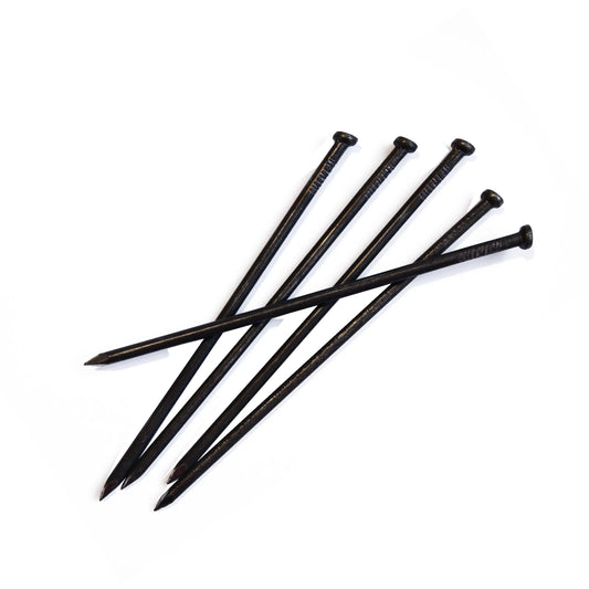 Une sélection de clous à tête plate noirs, alignés en éventail sur un fond blanc. Ces clous robustes sont conçus pour des usages variés dans la construction et les travaux de bricolage.