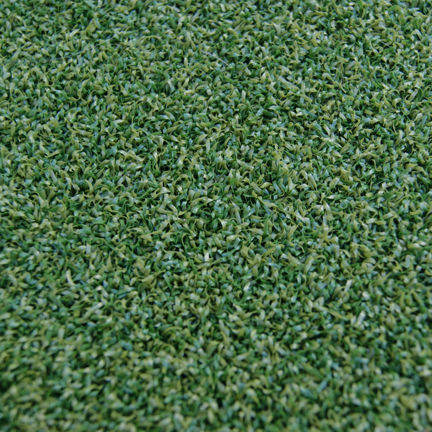 Gazon Putting Green Pro