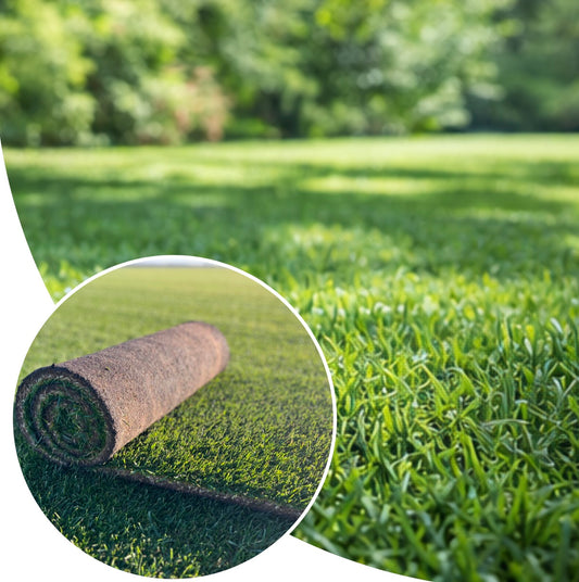 Natural Park Compomed