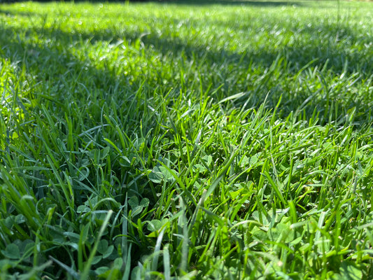 Natural Park Eco Garden