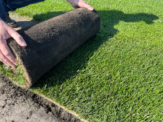 Natural Park Eco Garden