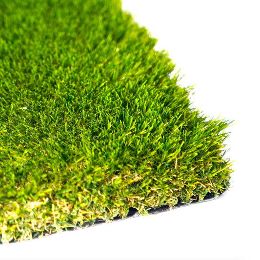 Park One 38 mm - Edition Spéciale