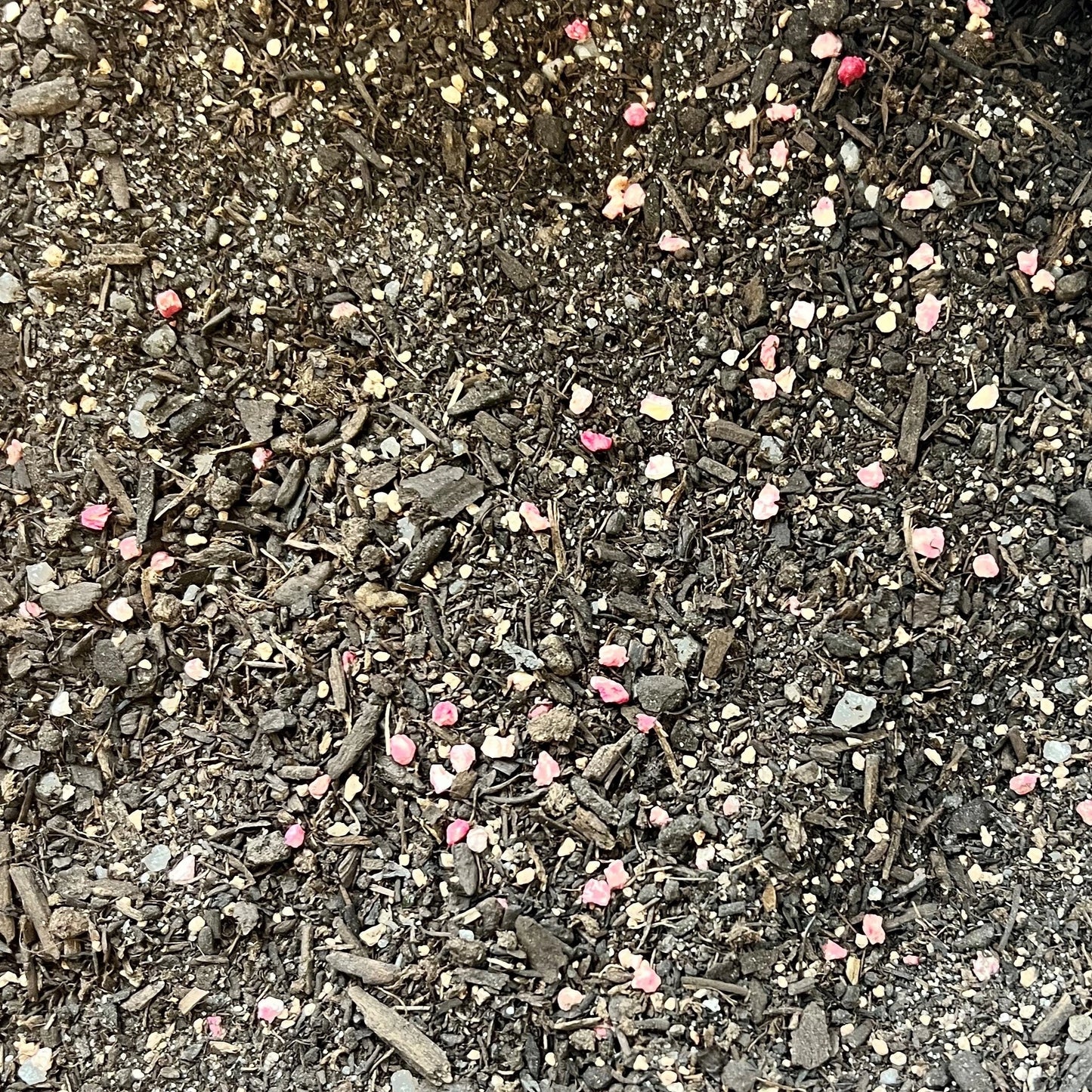 Gros plan d'un substrat de terre composé de petits morceaux d'écorce, de terre noire, de sable et de granulés colorés, principalement roses et jaunes, représentant un mélange enrichi pour gazon.