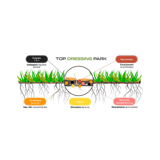 Un schéma explicatif montrant les bénéfices du produit "Top Dressing Park". Le visuel inclut des racines de gazon avec des annotations : "Engrais 7-5-7" pour la croissance, "Mycorhizes" pour l'enracinement, "Céramique poreuse" pour l'eau et l'air, "Algues" pour la stimulation biologique, et "Bactéries Azospirillum spp" pour la minéralisation de la matière.