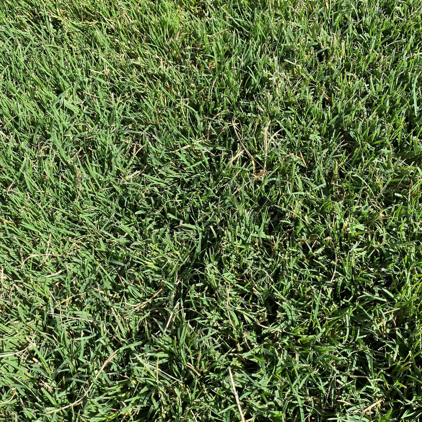 Bermuda