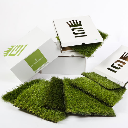 Box 6 échantillons 2025