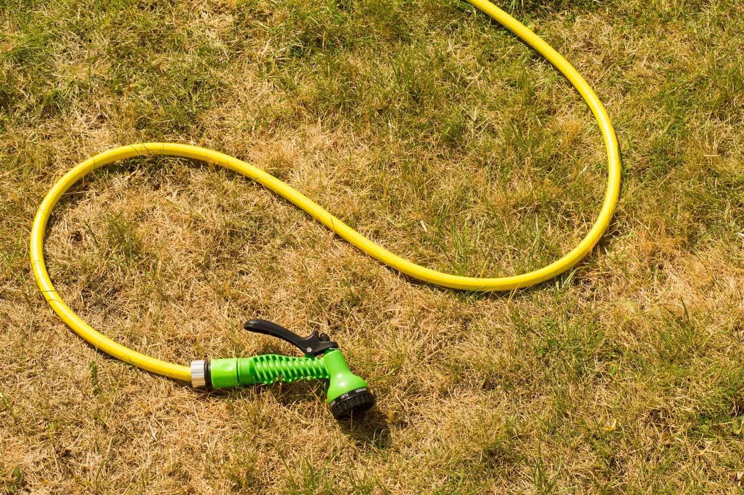 Comment savoir si mon gazon est mort ? covergardenstore