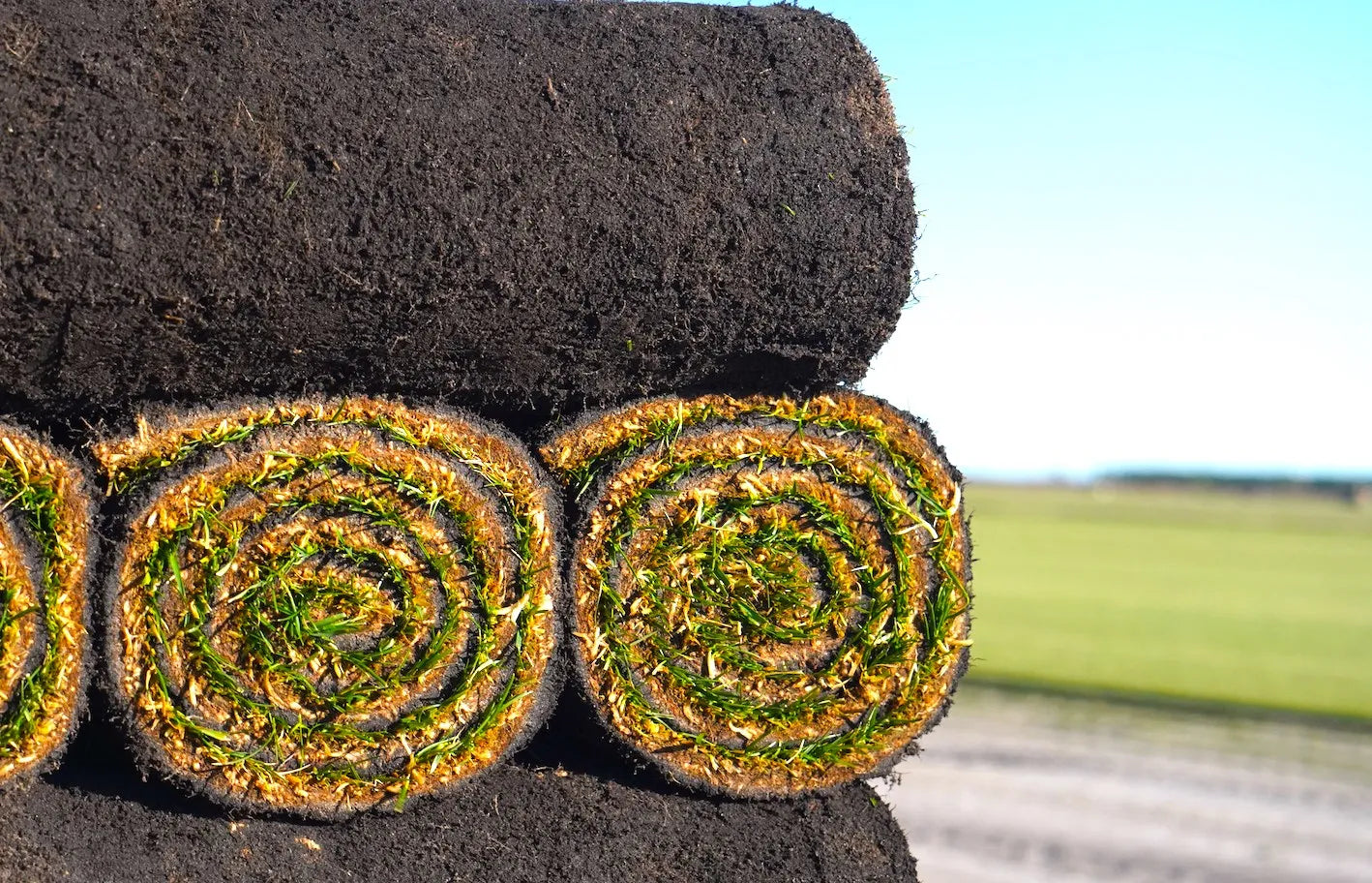 ouleaux de gazon empilés sur une palette, avec des rouleaux soigneusement enroulés montrant la terre sombre et les brins d'herbe visibles.