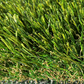 Promo Park 50 mm (12m2)