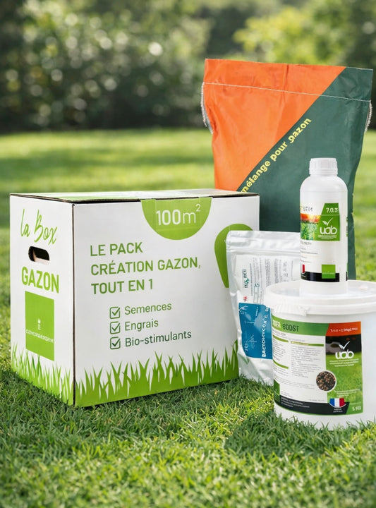 Box création ornement et agrément 100m²