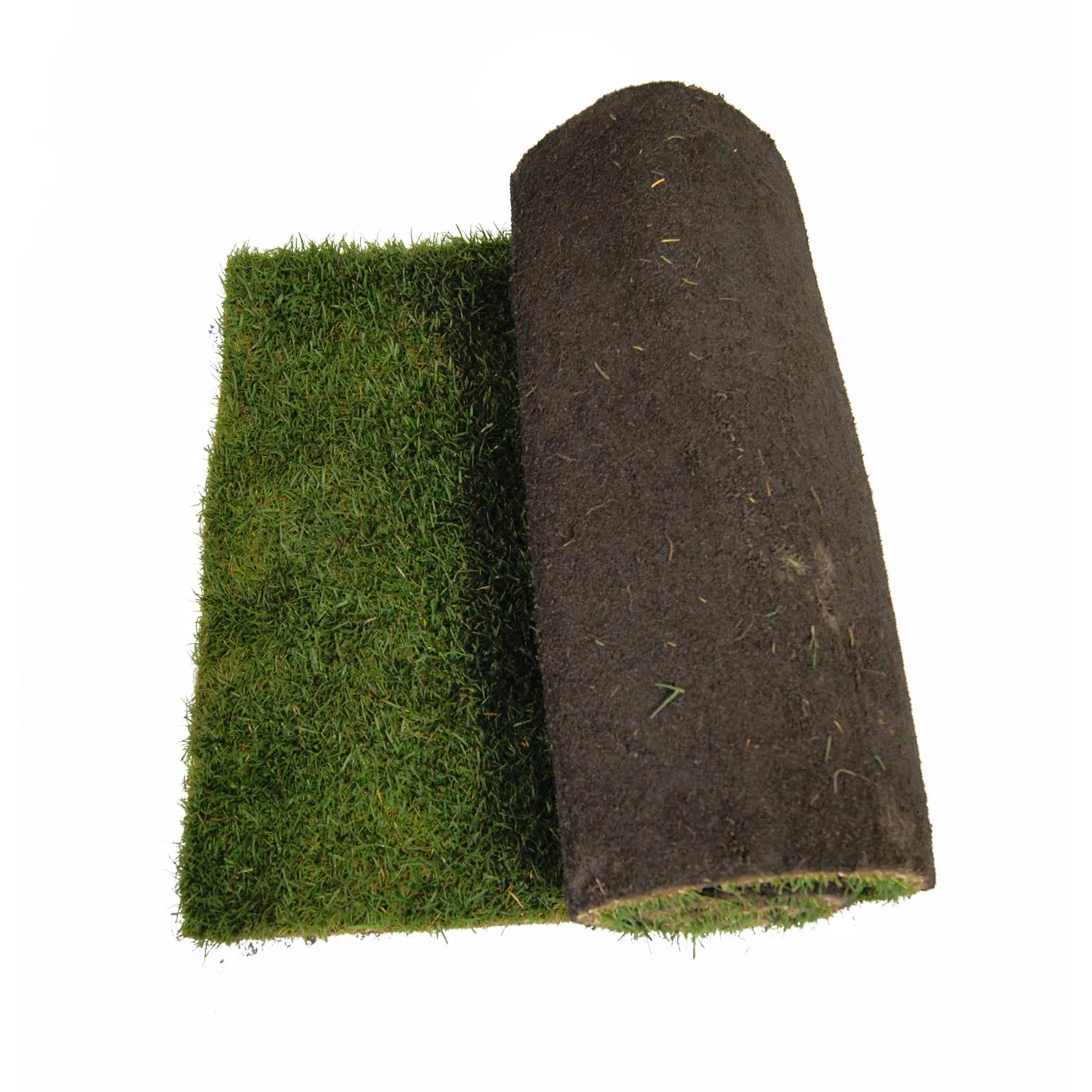 Rouleau de gazon naturel déroulé à moitié, présentant la terre sombre enroulée et l'herbe verte de l'autre côté.