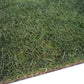 Gazon naturel dense et vert en gros plan, avec des brins d'herbe bien définis.