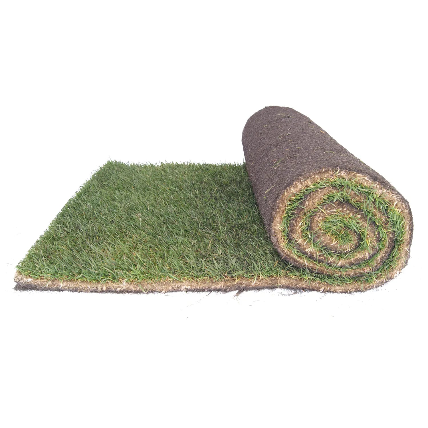 Un rouleau de gazon naturel partiellement déroulé sur un fond blanc, montrant une surface verte dense et une base de terre riche.