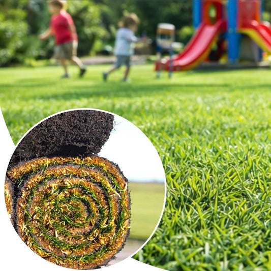 Natural Park Challenge