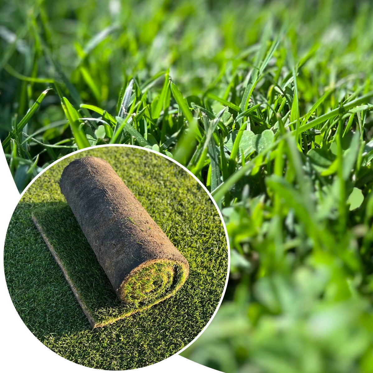 Natural Park Eco Garden