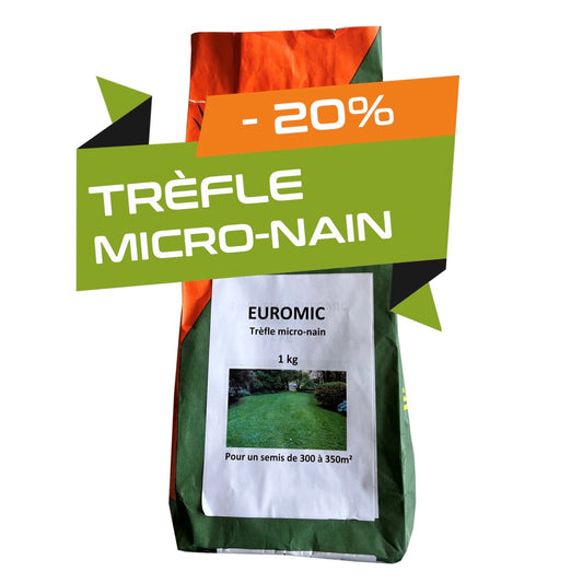 Trèfle Micro-nain spécial pelouses