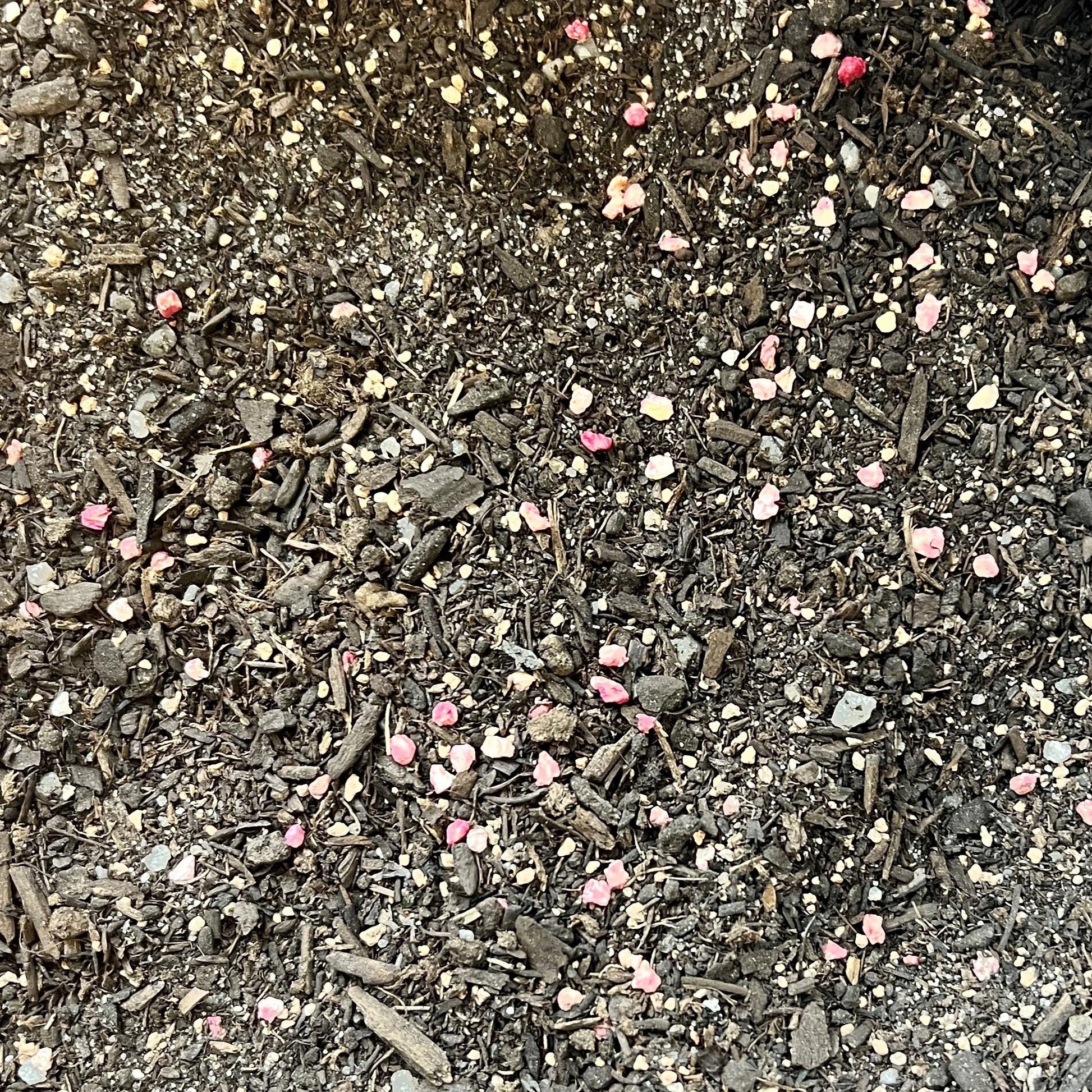 Gros plan d'un substrat de terre composé de petits morceaux d'écorce, de terre noire, de sable et de granulés colorés, principalement roses et jaunes, représentant un mélange enrichi pour gazon.
