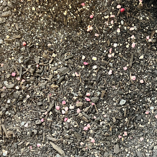Gros plan d'un substrat de terre composé de petits morceaux d'écorce, de terre noire, de sable et de granulés colorés, principalement roses et jaunes, représentant un mélange enrichi pour gazon.