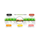 Un schéma explicatif montrant les bénéfices du produit "Top Dressing Park". Le visuel inclut des racines de gazon avec des annotations : "Engrais 7-5-7" pour la croissance, "Mycorhizes" pour l'enracinement, "Céramique poreuse" pour l'eau et l'air, "Algues" pour la stimulation biologique, et "Bactéries Azospirillum spp" pour la minéralisation de la matière.