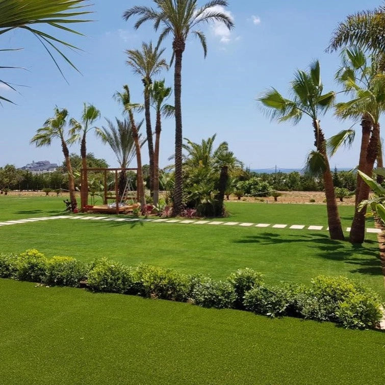 Une vaste pelouse verdoyante ornée du gazon Zoysia Empireet de palmiers de différentes tailles. Une allée en dalles blanches traverse le jardin, ajoutant une touche structurée. Le ciel bleu clair en arrière-plan met en valeur l’ambiance tropicale et relaxante du lieu.